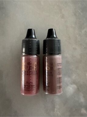 LUMINESS Eyeshadow Airbrush Cosmetics Shade 41 + Airbrush Blush Shade Plum NEW